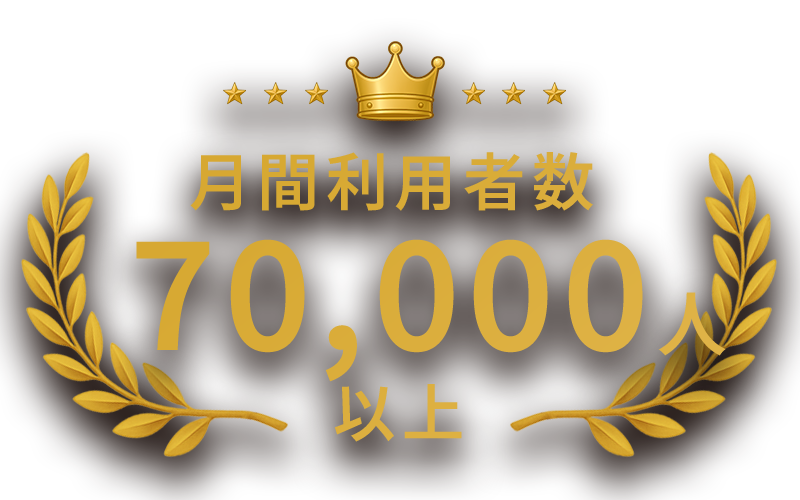 実績